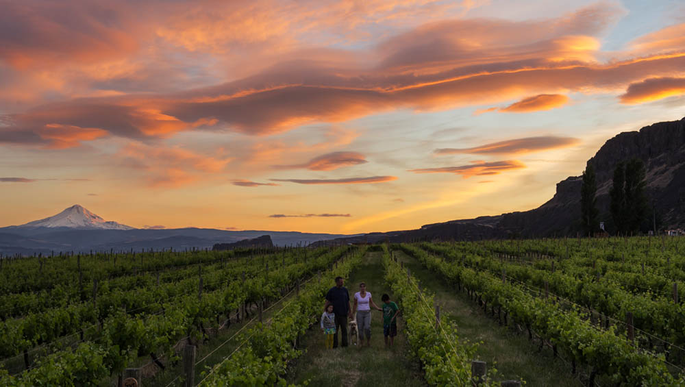 103827 Cascade Cliffs Vineyards family shot Include this one
