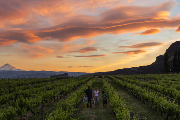 A summer day tasters enjoy spectacular views of Mt. Hood & the Columbia River Gorge from Cascade Cliffs Vineyard & Winery, Wishram, Washington